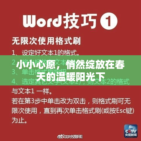 小小心愿，悄然绽放在春天的温暖阳光下