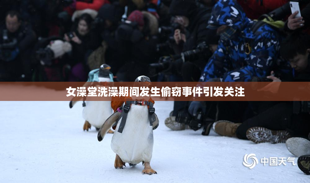 女澡堂洗澡期间发生偷窃事件引发关注