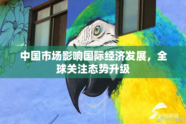 中国市场影响国际经济发展，全球关注态势升级