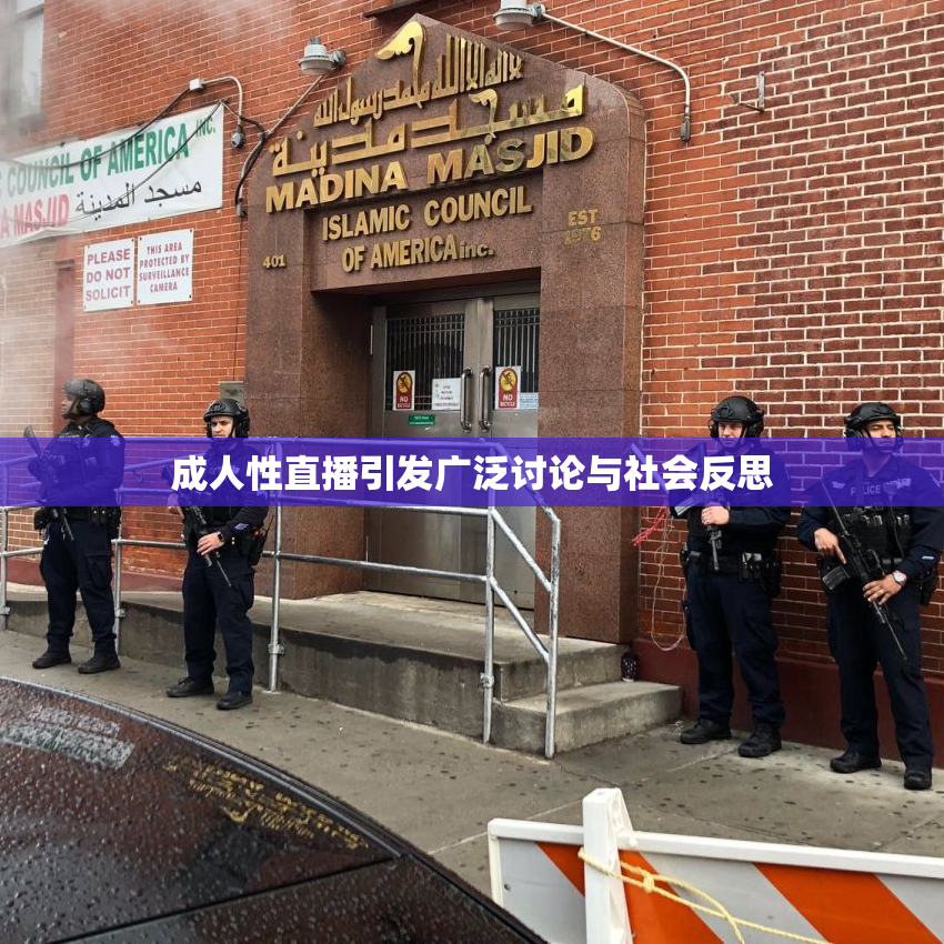 成人性直播引发广泛讨论与社会反思