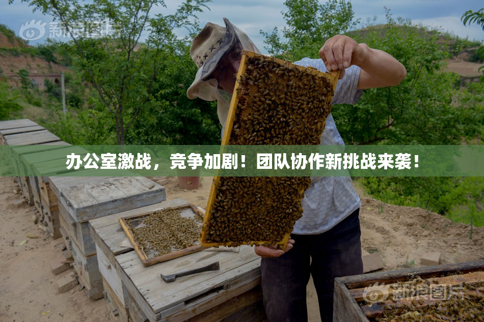办公室激战，竞争加剧！团队协作新挑战来袭！