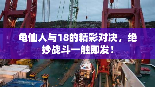 龟仙人与18的精彩对决，绝妙战斗一触即发！