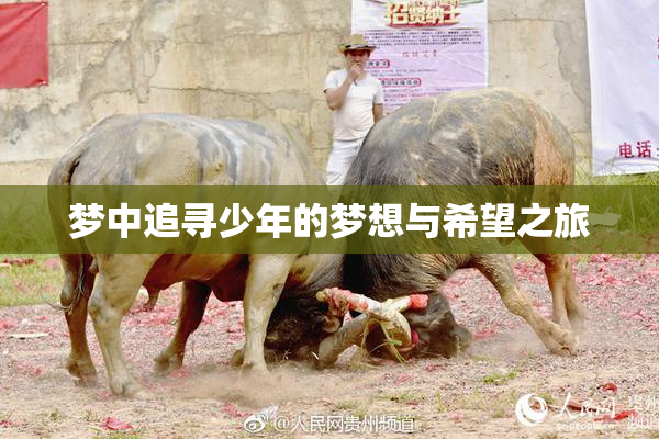 梦中追寻少年的梦想与希望之旅