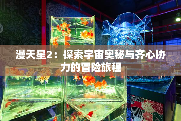 漫天星2：探索宇宙奥秘与齐心协力的冒险旅程