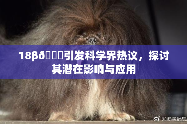 18β🍆引发科学界热议，探讨其潜在影响与应用