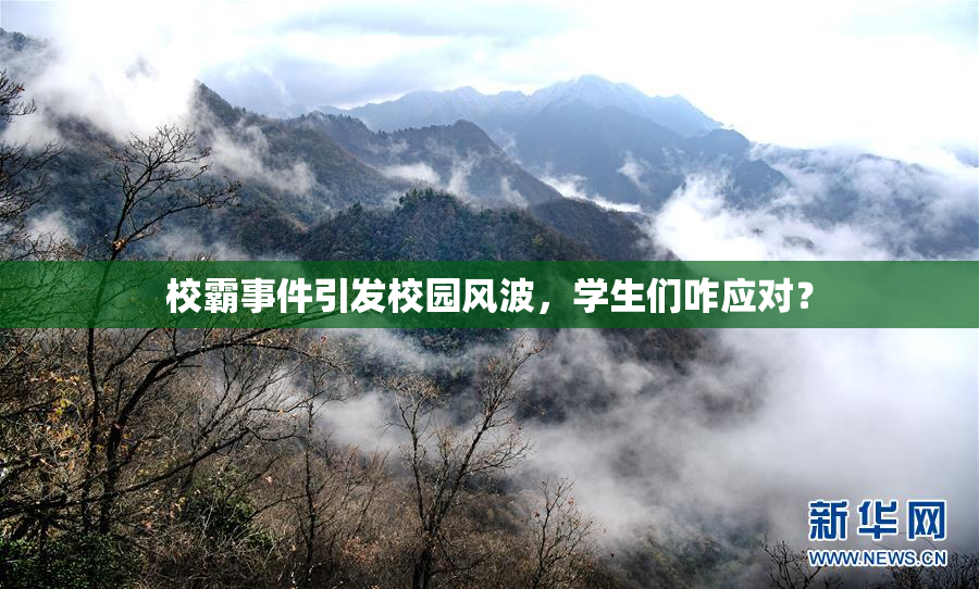 校霸事件引发校园风波，学生们咋应对？