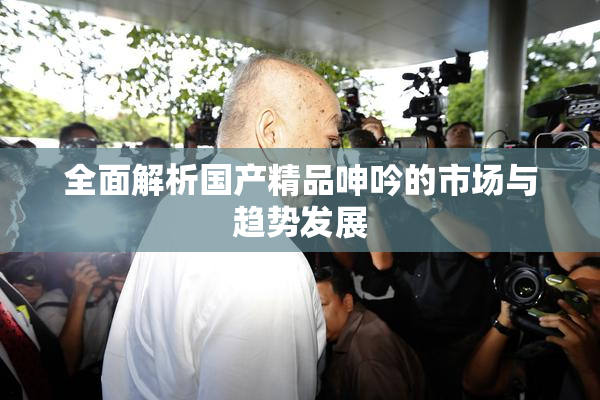 全面解析国产精品呻吟的市场与趋势发展