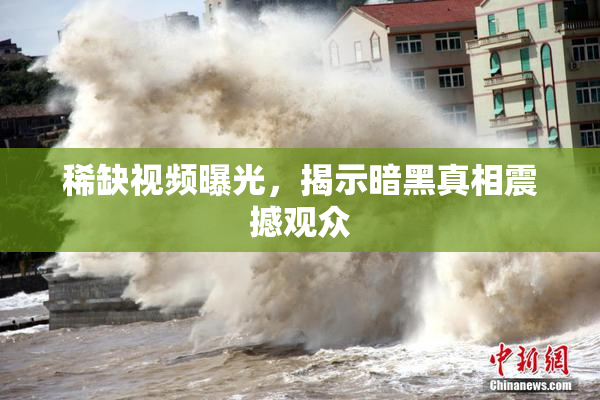 稀缺视频曝光，揭示暗黑真相震撼观众