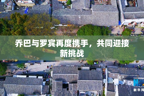 乔巴与罗宾再度携手，共同迎接新挑战
