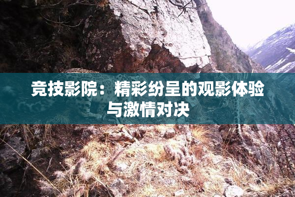 竞技影院：精彩纷呈的观影体验与激情对决