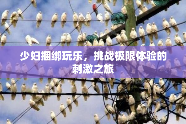 少妇捆绑玩乐，挑战极限体验的刺激之旅