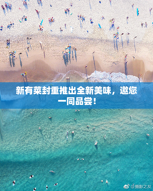 新有菜封重推出全新美味，邀您一同品尝！
