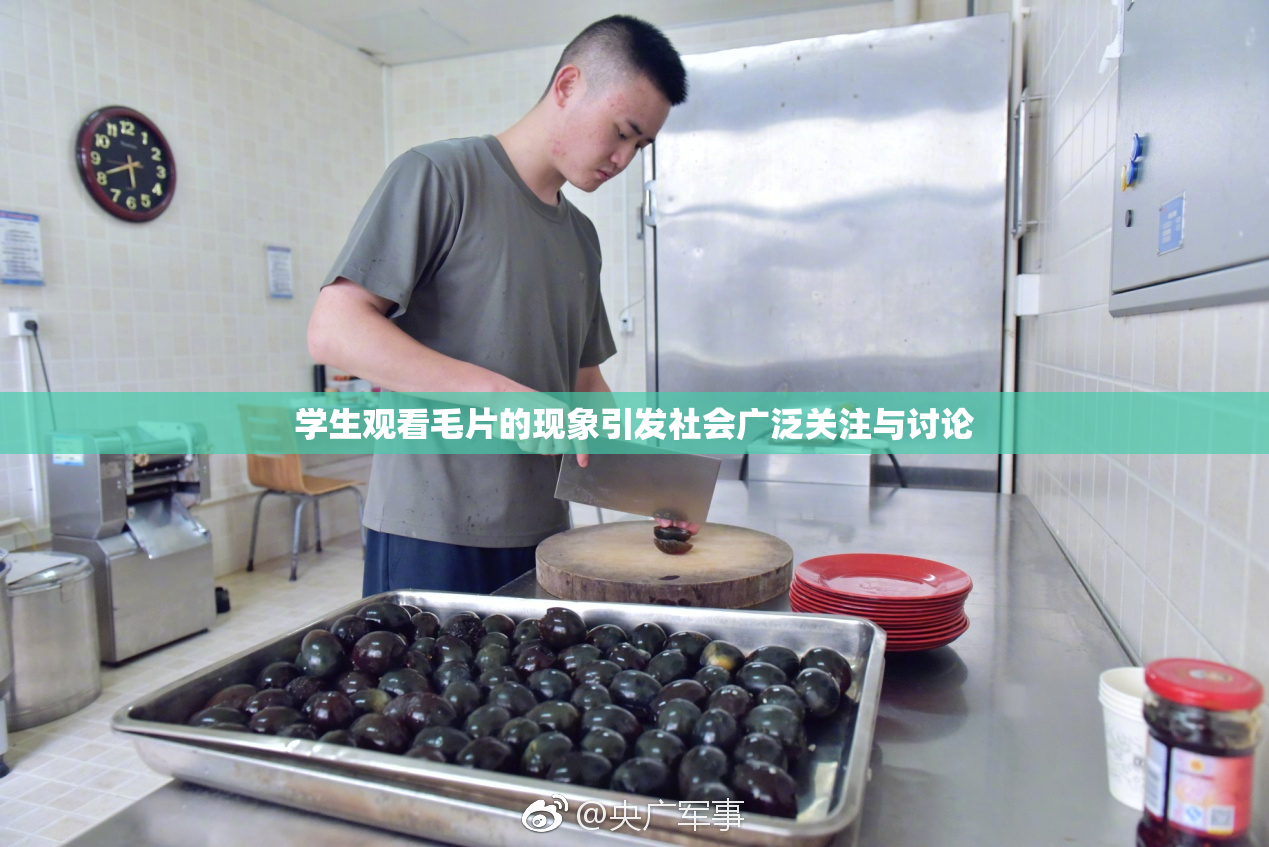 学生观看毛片的现象引发社会广泛关注与讨论
