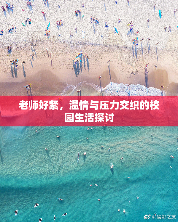 老师好紧，温情与压力交织的校园生活探讨