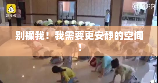 别揉我！我需要更安静的空间！