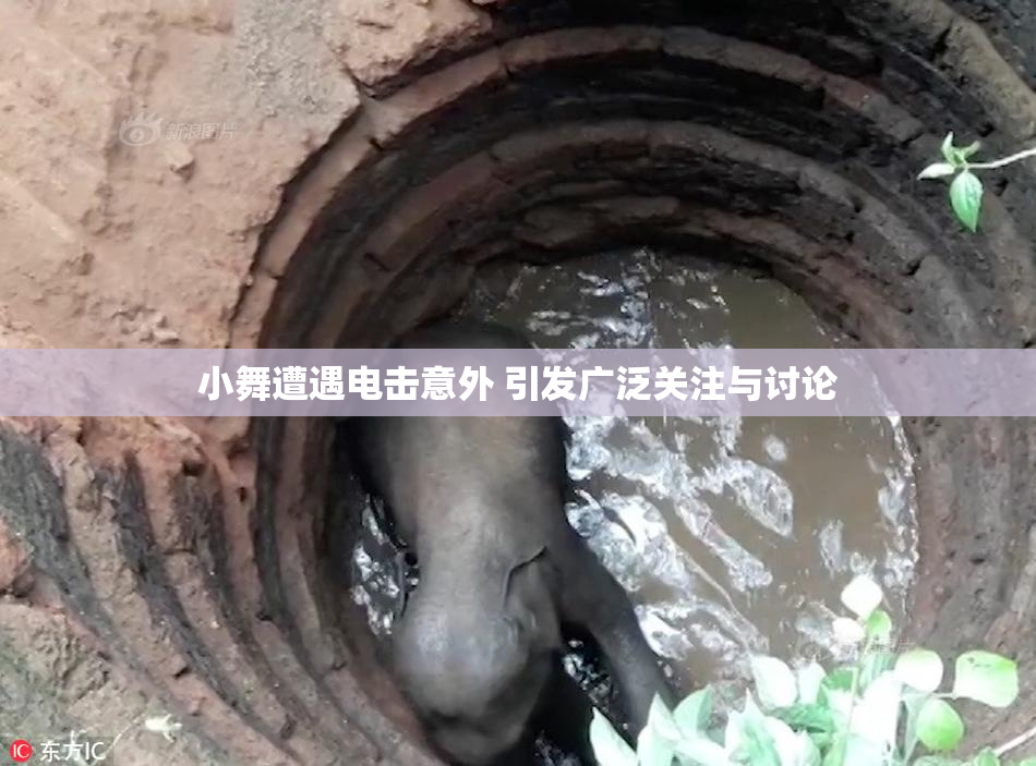 小舞遭遇电击意外 引发广泛关注与讨论