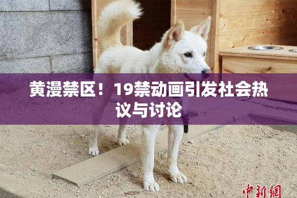 黄漫禁区！19禁动画引发社会热议与讨论