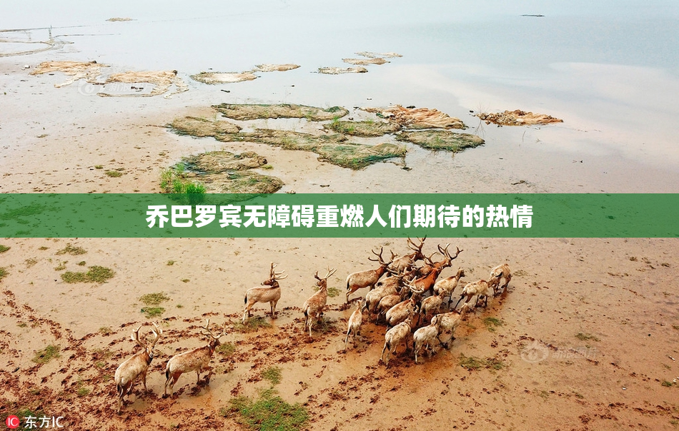 乔巴罗宾无障碍重燃人们期待的热情