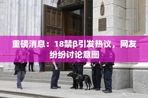 重磅消息：18禁β引发热议，网友纷纷讨论意图