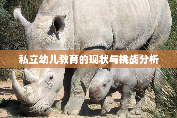 私立幼儿教育的现状与挑战分析