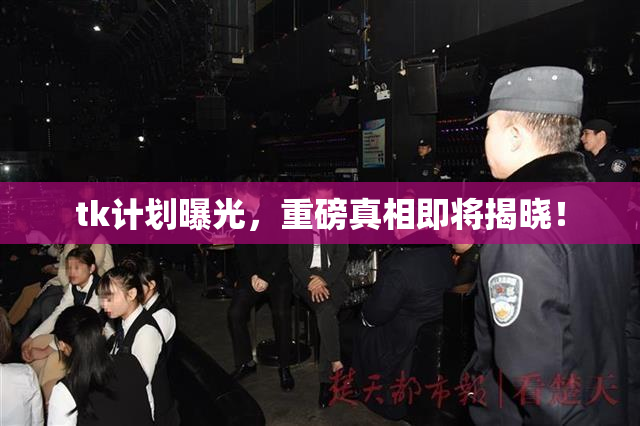 tk计划曝光，重磅真相即将揭晓！
