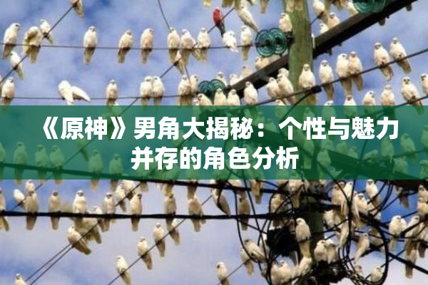 《原神》男角大揭秘：个性与魅力并存的角色分析