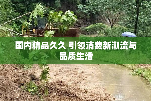 国内精品久久 引领消费新潮流与品质生活