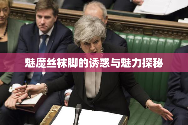 魅魔丝袜脚的诱惑与魅力探秘