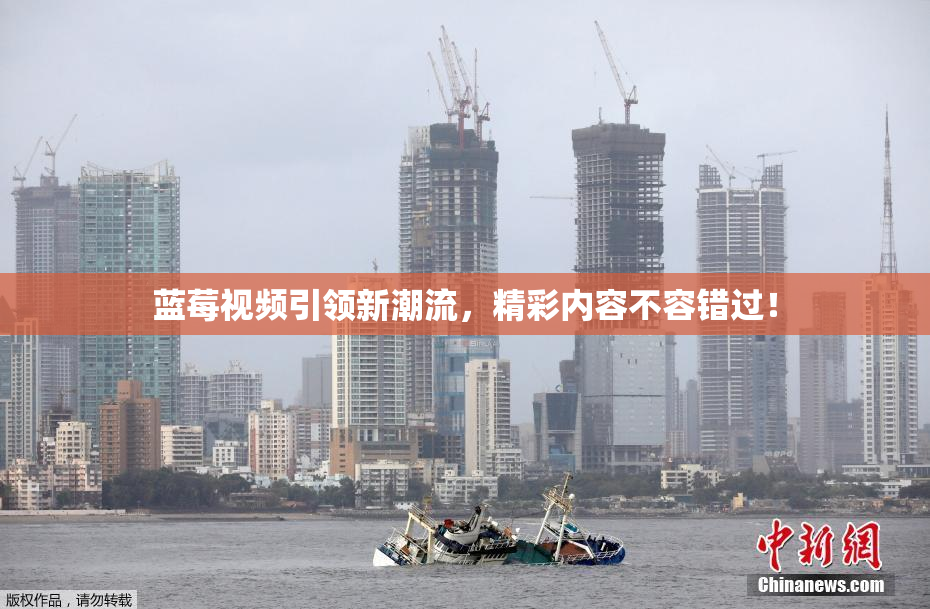 蓝莓视频引领新潮流，精彩内容不容错过！