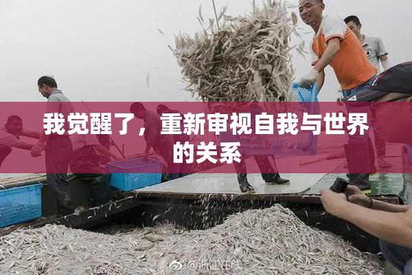 我觉醒了，重新审视自我与世界的关系