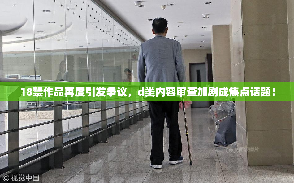 18禁作品再度引发争议，d类内容审查加剧成焦点话题！