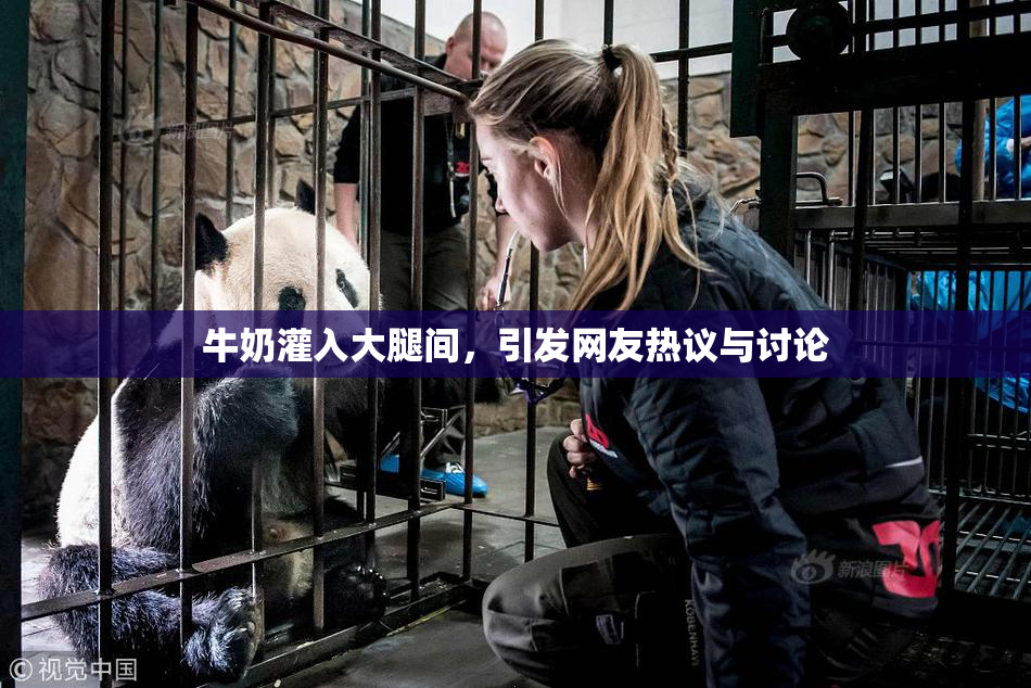 牛奶灌入大腿间，引发网友热议与讨论