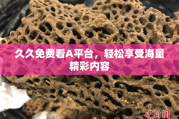 久久免费看A平台，轻松享受海量精彩内容