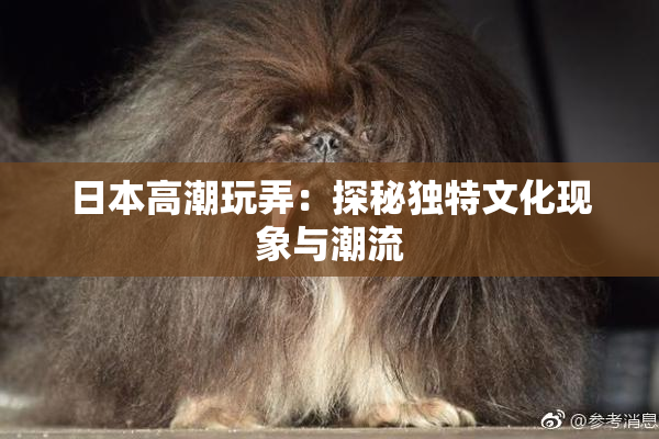 日本高潮玩弄：探秘独特文化现象与潮流