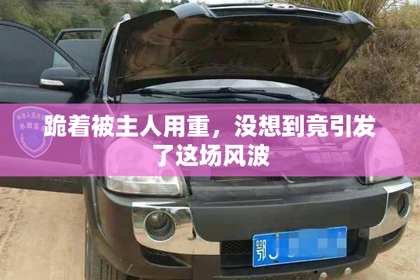 跪着被主人用重，没想到竟引发了这场风波