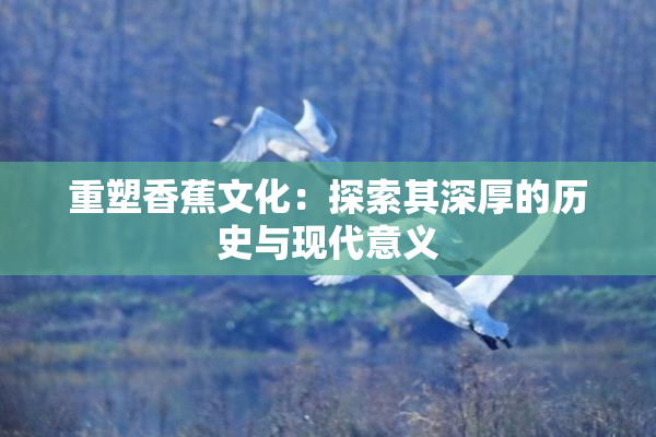 重塑香蕉文化：探索其深厚的历史与现代意义
