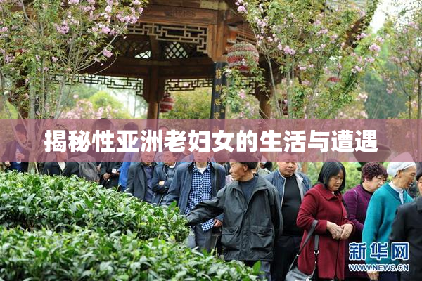 揭秘性亚洲老妇女的生活与遭遇