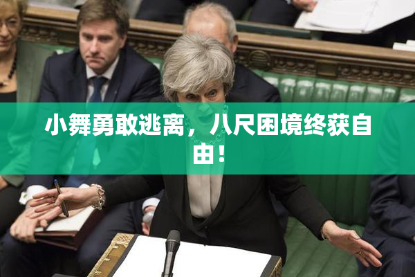 小舞勇敢逃离，八尺困境终获自由！