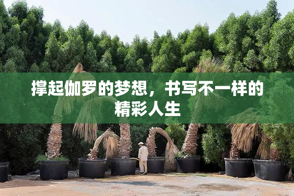 撑起伽罗的梦想，书写不一样的精彩人生