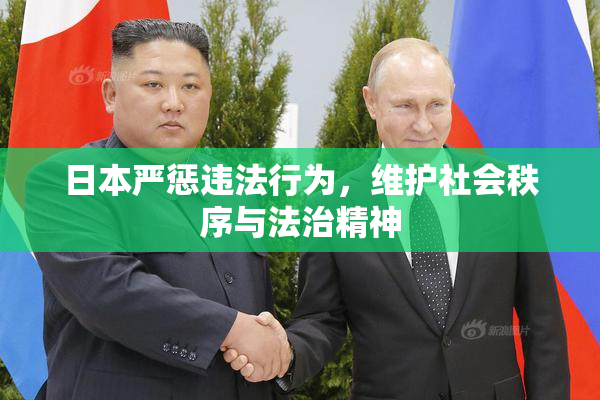 日本严惩违法行为，维护社会秩序与法治精神