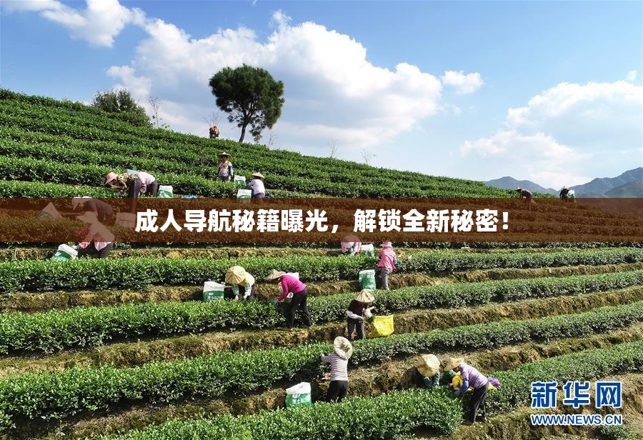 成人导航秘籍曝光，解锁全新秘密！