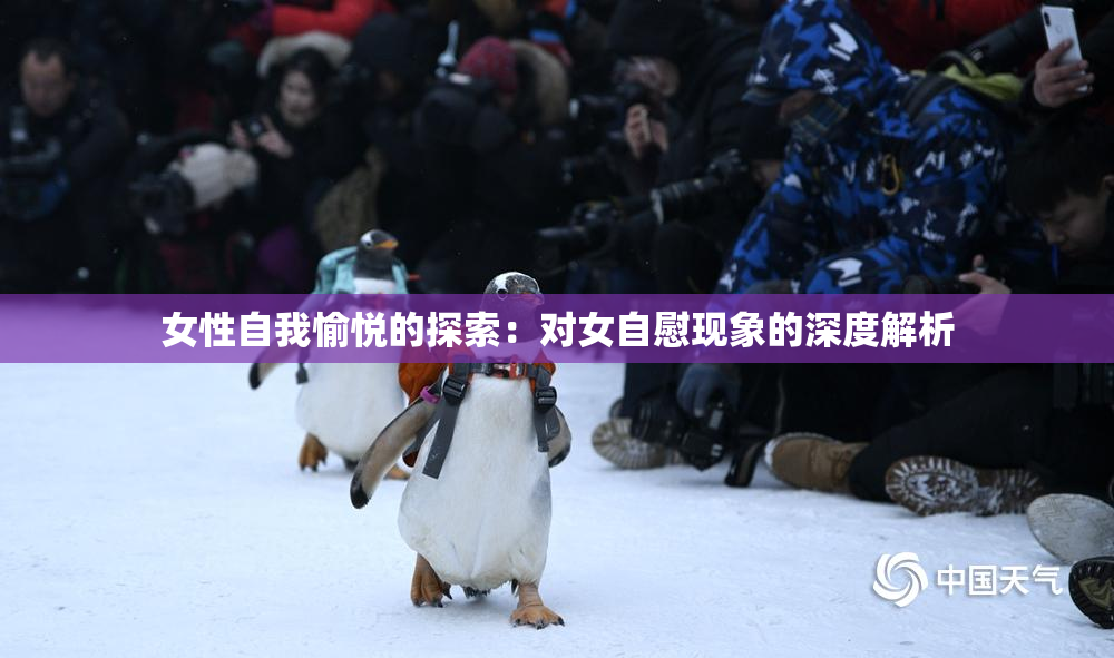 女性自我愉悦的探索：对女自慰现象的深度解析