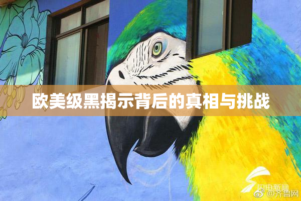 欧美级黑揭示背后的真相与挑战
