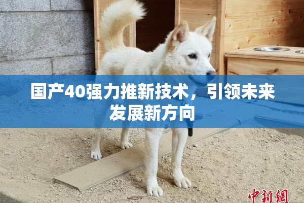 国产40强力推新技术，引领未来发展新方向