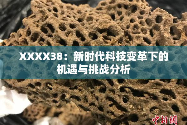 XXXX38：新时代科技变革下的机遇与挑战分析