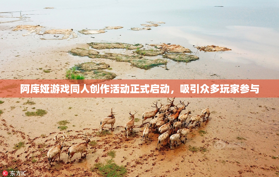 阿库娅游戏同人创作活动正式启动，吸引众多玩家参与