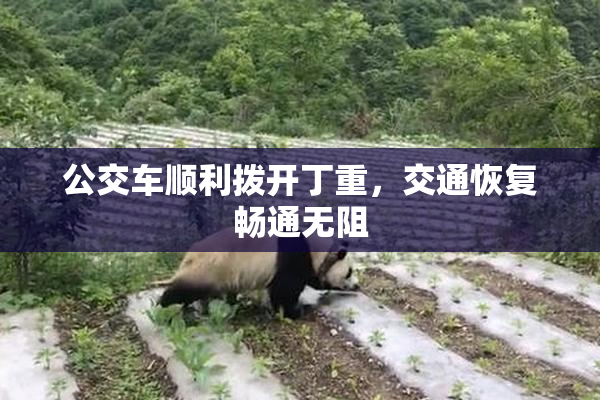 公交车顺利拨开丁重，交通恢复畅通无阻