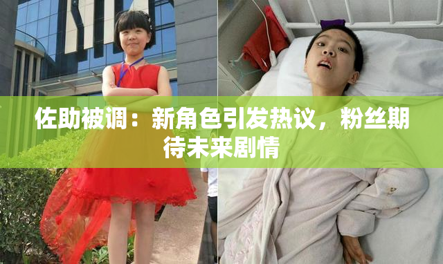 佐助被调：新角色引发热议，粉丝期待未来剧情