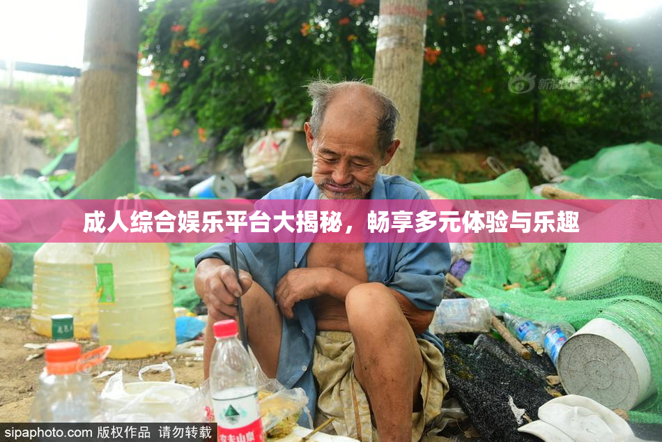 成人综合娱乐平台大揭秘，畅享多元体验与乐趣