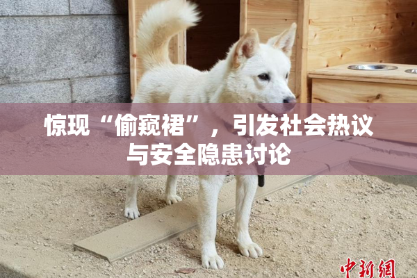 惊现“偷窥裙”，引发社会热议与安全隐患讨论